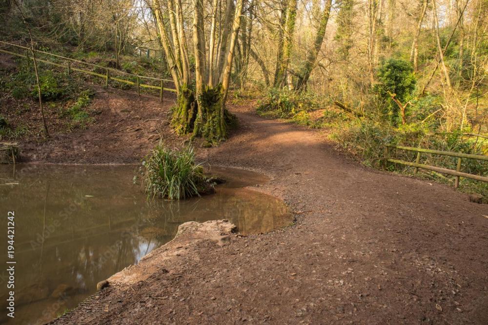 Peaceful Woodland Retreat Near Clifton, Bristol Exterior foto